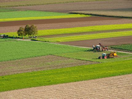 Regionale Forschungsallianz: 900.000 Euro Startkapital für Projekt zur Sicherung stabiler Erträge im Pflanzenanbau