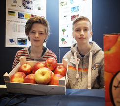Erster Platz in der Sparte Technik:  Anton Hohn (13; links) und Peer Strömgren (13) vom Konrad-Adenauer-Gymnasium Bonn und der Privatschule Dany in Wesseling schätzten mit einer Bildanalyse-Software den Apfelertrag ab.