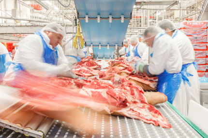 Tönnies wächst 2016 trotz schwierigem Marktumfeld