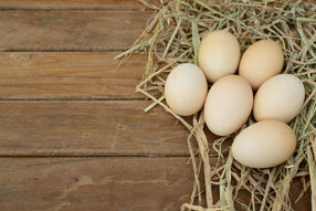 0-1-2-3-Kennzeichnung von Eiern nicht ausreichend - foodwatch fordert gesetzliche Standards für Tiergesundheit