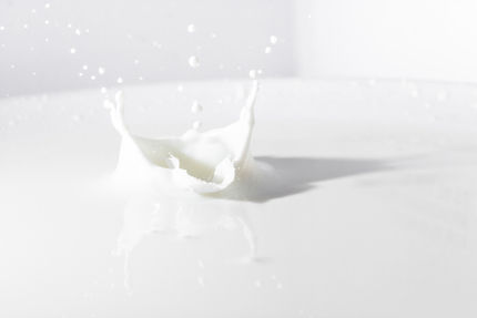 Milchbauern suchen Exportchance: Melken unter Rabbi-Aufsicht