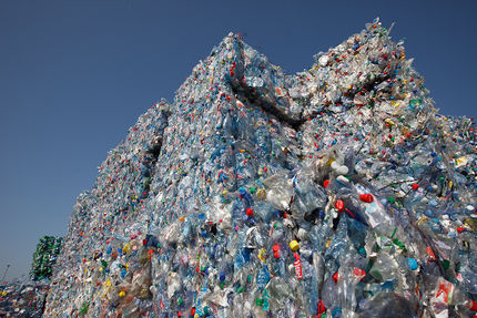 PET-Ballen: Vor dem Recycling werden bunte von durchsichtigen PET-Flaschen getrennt.