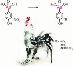 Neue methylierte Phenylarsen-Metabolite in Hühnerleber identifiziert