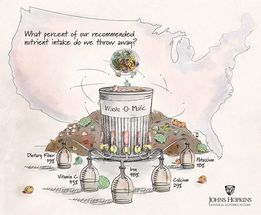 What percent of our recommended nutrient intake is discarded in the US?