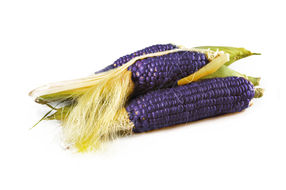 Blue and purple corn: Not just for tortilla chips anymore