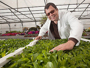 Dr. Udo Kienle forscht zum Süßstoffwunder Stevia.