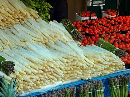 Rekordernte beim Spargel - zu kalt für Erdbeeren