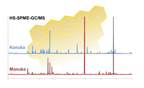 Der Vergleich der Chromatogramme von Manuka- und Kanuka-Honig zeigt deutliche Unterschiede beim Gehalt bestimmter Markersubstanzen