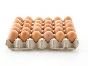 Millions of eggs recalled in the Netherlands due to insecticide