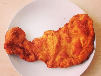 "Veganes Schnitzel" bleibt "veganes Schnitzel": Niederlage für Bundesminister Schmidt