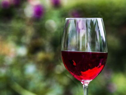 Marketing-Placebo: Warum teurer Wein vielen besser schmeckt