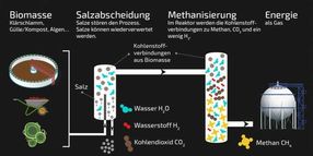 Wie aus nassen Kaffeerückständen Methan entsteht: schematische Darstellung des Prozesses.