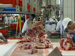 Tarifverhandlungen Fleisch-Mindestlohn: „Fleischwirtschaft muss raus aus den Negativschlagzeilen“