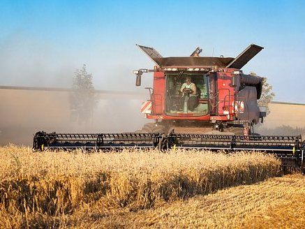 Weizen und Roggenqualität 2017 - Niedrige Fallzahlen, hoher Feuchtklebergehalt