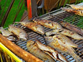 Verbraucher geben mehr Geld für Fisch aus - Pro-Kopf-Verbrauch steigt