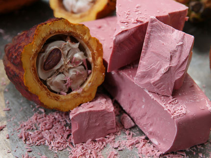 Ruby chocolate with cocoa