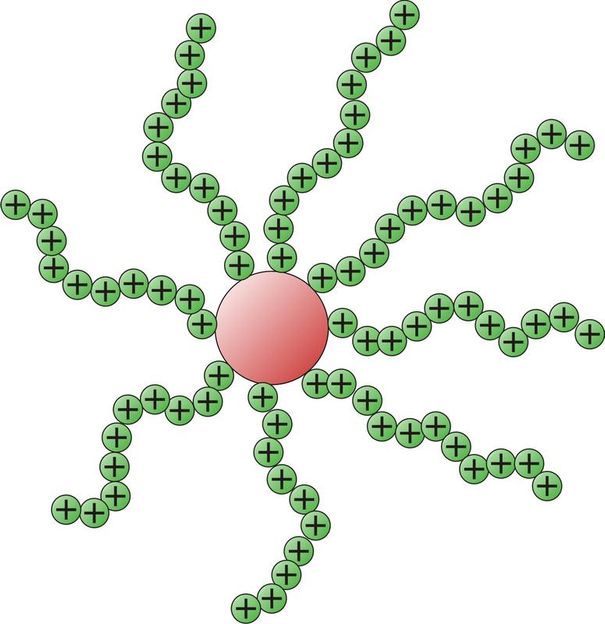 Dipl.-Chem. Christopher V. Synatschke, Lehrstuhl für Makromolekulare Chemie II, Universität Bayreuth