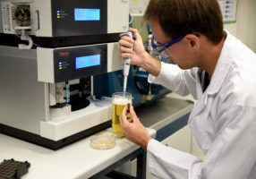 FAU-based researcher Thomas Sommer preparing a sample of beer. After processing, the level of hordenine in the sample is determined using high-performance liquid chromatography and mass spectrometry.