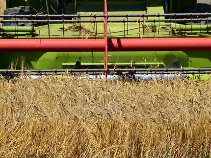Getreideernte 2017 bringt große Herausforderungen für heimische Mühlenindustrie