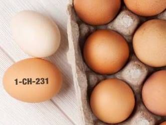 Migros ruft Eier mit dem aufgedruckten Code 1-CH-231 wegen Salmonellenverdacht zurück