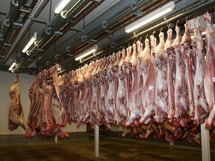 Tarifverhandlung - Branchenmindestlohn Fleisch