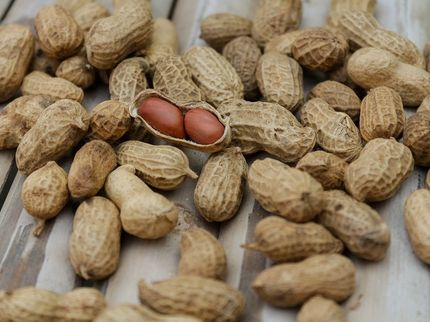 Study provides more clarity on the genetic causes of children’s food allergies