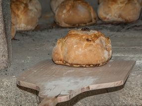 Combining cassava flour in the bread dough might assure access to food in the future