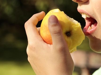 Apfel-Allergen als wirksame Behandlungsoption der Apfelallergie