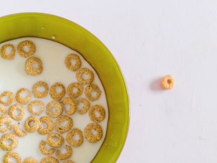 Kellogg's To Cut Down Sugar In Kids' Cereals