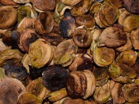 Rückruf von getrockneten Feigen