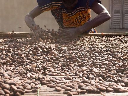Child labour in the chocolate industry leaves a bitter aftertaste