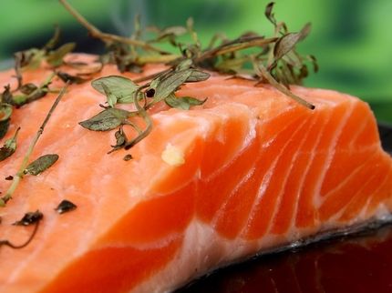 Lebensmittel im Blickpunkt: Schadstoffe im Lachs?