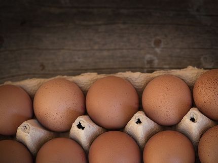 Eier werden etwas teurer - eine Folge des Fipronil-Skandals