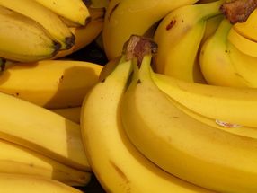 ÖKO-TEST Bananen: Fair gewinnt