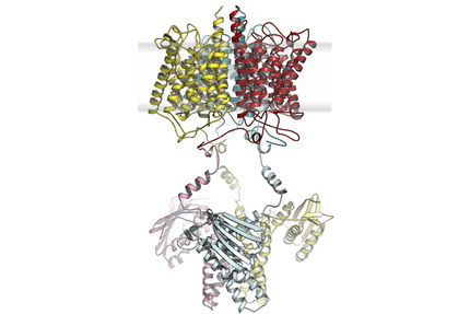 Mikrobielle Signalerkennung aus dem Baukasten