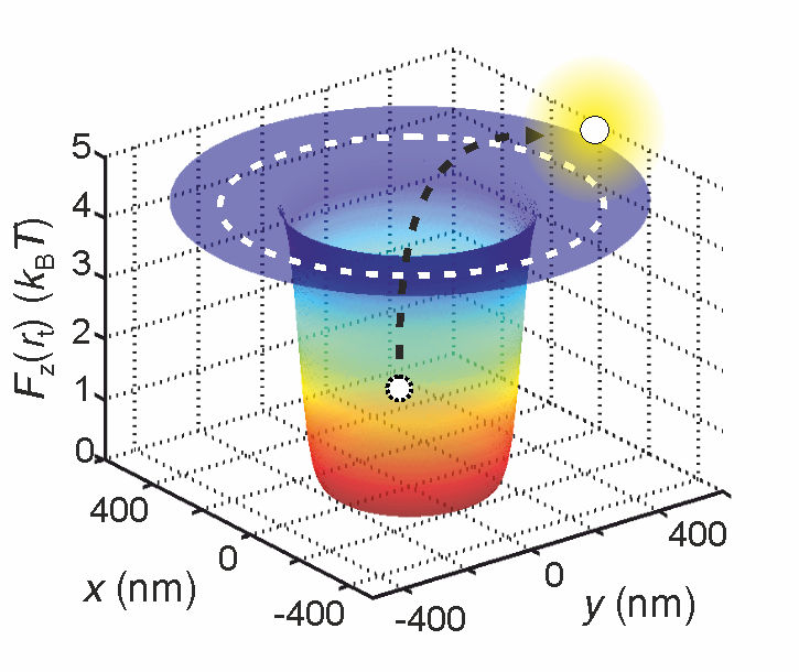 The first precise measurement of a single molecule's effective charge - Discovery could pave the way to new diagnostic tools