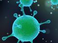 Keimkiller: Forscher finden in Körpersubstanz Wirkstoff gegen resistente Bakterien