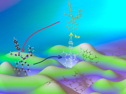 Zentrales Reaktionsprinzip von Metalloenzymen entschlüsselt