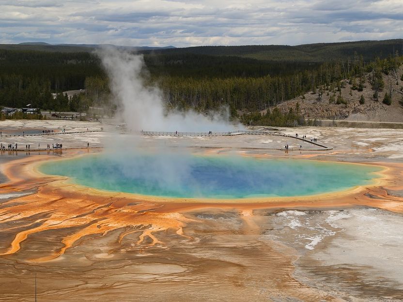 Chemische Evolution: Vorfahren des Lebendigen