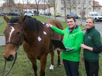Einzigartiges Sensorsystem zur Tierdiagnostik entwickelt