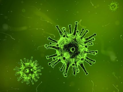 Viruses are everywhere, maybe even in space