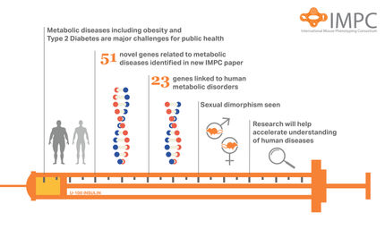 Neue Diabetes-Gene entschlüsselt