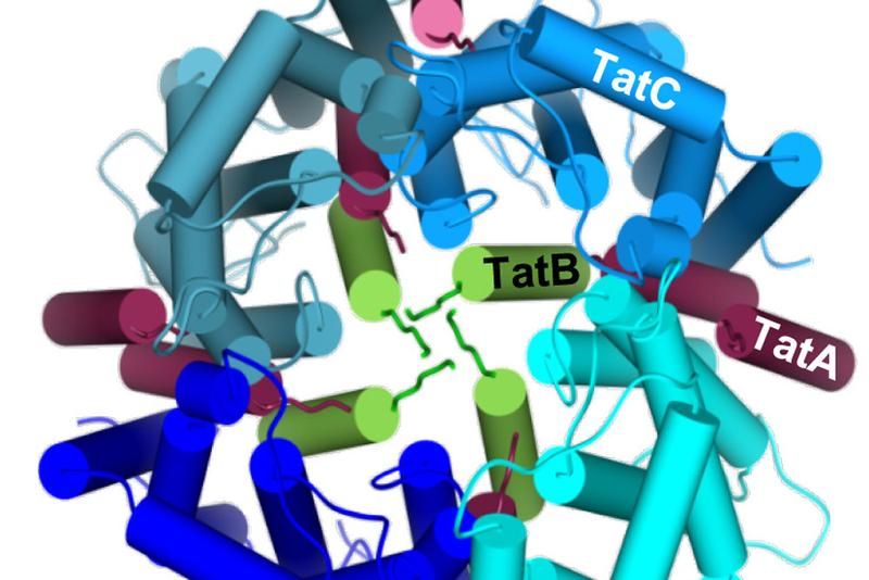 Journal of Biological Chemistry