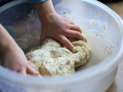 Kitchen hygiene in the spotlight: Do TV cooking shows influence our hygiene behaviour?