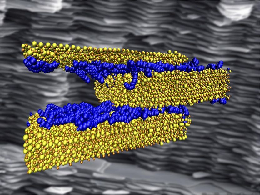 Researchers create artificial mother-of-pearl using bacteria