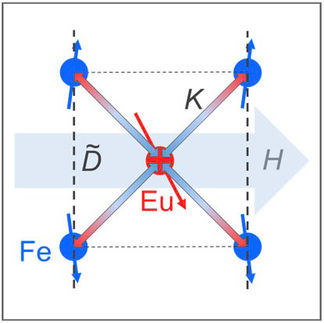 How magnetic fields can fix crystal twinning