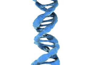 How the most common DNA mutation happens