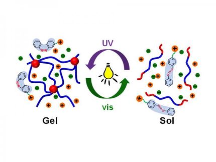 Photoreversible molecular switch changes the physical property of thermoresponsive polymer