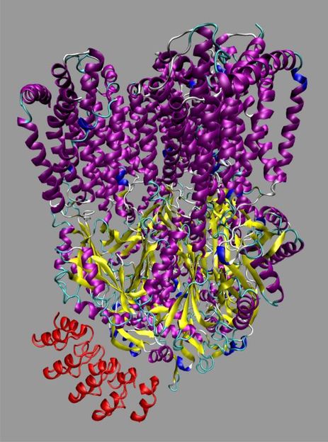 Urheber PDB: 3NOG