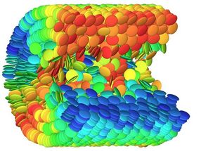 Flüssigkristall-Moleküle formen Nano-Ringe